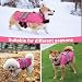 Spitze Hundeweste, Hundeschutzweste, wasserdichte Haustiergeräte, widerstandsfähig gegen Bisse von Vorwolfen und Anderen großen Hunden, geeignet für Katzen, Hunde und Kaninchen, rosa (M)