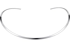 Exquisite Silver Choker Necklace: Embracing Timeless Elegance