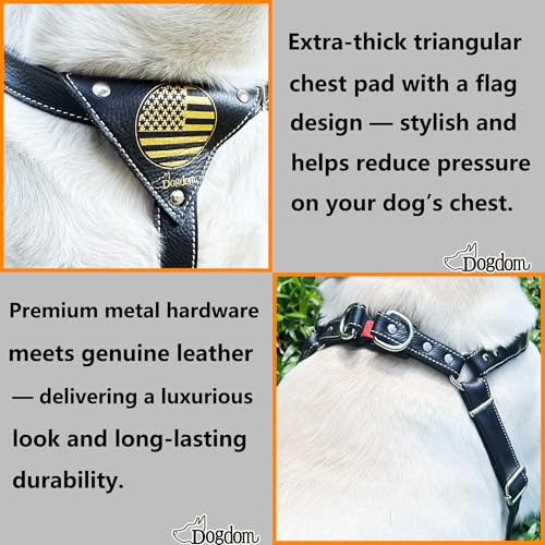 Image of Genuine Leather Dog Harness - Adjustable No Pull Harness with Soft Padded Chest, Heavy Duty Buckle, Brown, Medium Dogs