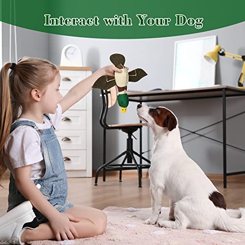Iokheira Dog Toys, Squeaky Dog Toy For Large Breed, Plush Dog Toy With Crinkle Paper, Tug Of War Dog Toys For Puppy, Small, Middle Dogs (Brown, Mallard) #TOP5