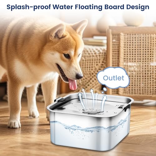 PETTOM Wassernapf Hund Ohne Sabbern 3L