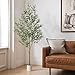 Alupssuc Olivenbaum Künstlich 180cm Kunstpflanze Groß Künstlicher Olivenbaum, Künstliche Pflanzen Kunstbaum Deko für Zuhause, Wohnzimmer, Schlafzimmer, Büro, Garten