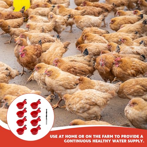 Abbeveratoio Automatico per Galline - 8 Pezzi in Plastica, per Polli, Uccelli, Piccioni, Polli, Anatre (Rosso) - immagine 5