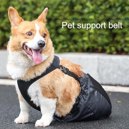 Drag Bag for Paralyzed Pets, Indoor Dog Wheelchair Alternative for Disabled Back Rear Legs Dog, Protects Chest and Limbs, Durable Breathable and Comfortable (S) by Quincry - Used condition - Image 3