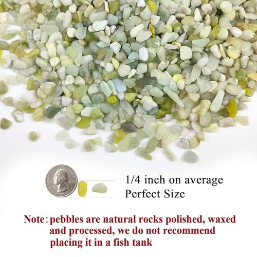 Image of FANTIAN 2 lbs Jade Rocks for Plants Indoor, 1 /4 inch Small Pebbles for Plants, Decorative Rocks for Succulents Cactus Vases Landscaping Drainage and Outdoor Garden Rocks