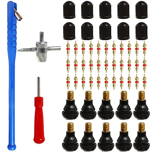 Bhbuy-Action 43pcs Tire Valve Stem Tool Remover & Installation Set - 30 Valve Stem Cores,10pcs TR412 Snap-in Valve Stems,4-Way Valve Repair Tool,Valve Stem Removal Tool, Tyre Valve Puller