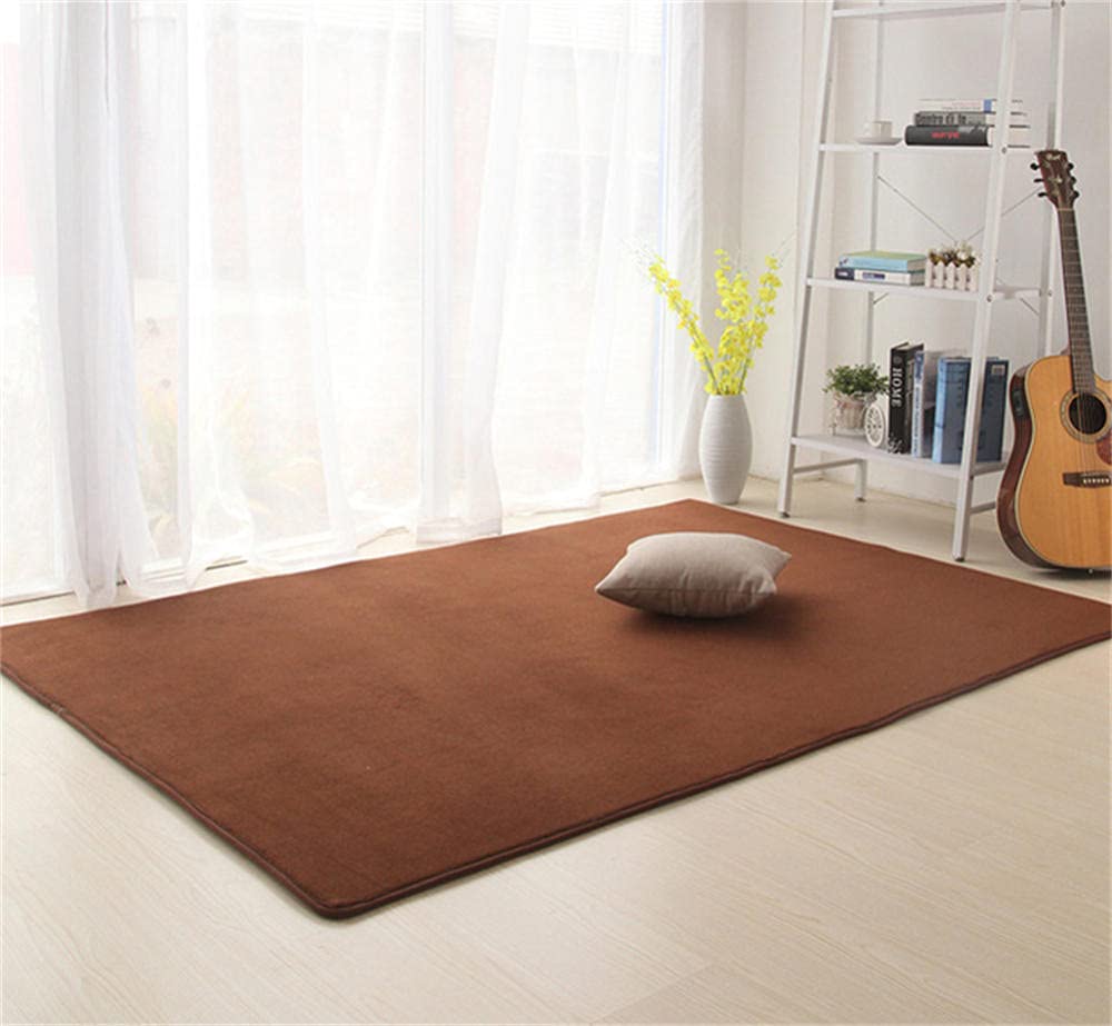 Tapis moderne super doux marron shaggy en velours corail antidérapant grand salon