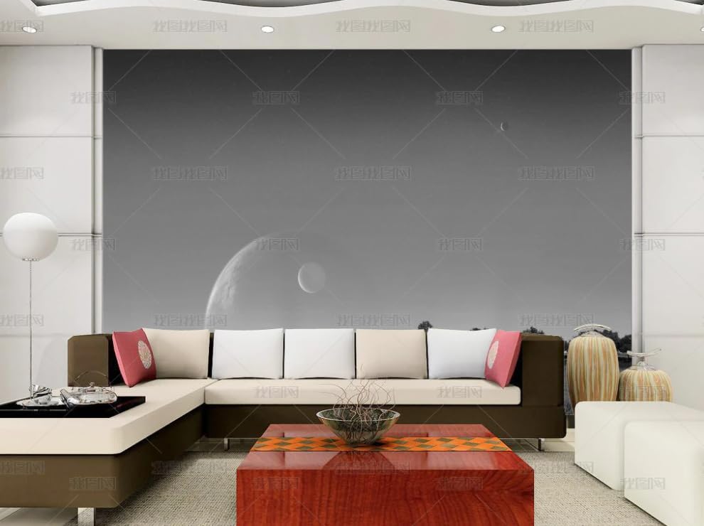 Papier peint intissé paysage chinois masquez les défauts du mur salon avec ce poster