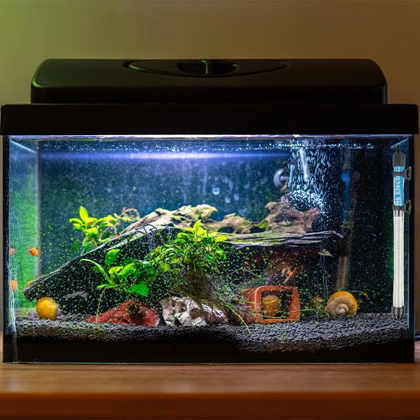 Aquarium Heater 100W Fully Automatic and Submersible | Automatic Adjustment Temperature | Double Seal Protection with Standby Light Indicator and auto ON/Off (100 Watts) 3