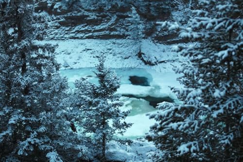 【カナダの風景ポストカード】氷結するエメラルドブルーの川と雪の森 ― バンフ冬景色 はがき photo by MIRO