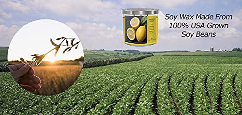 King Of Candle - Sugared Lemon Candle | 3 Wicks Highly Scented Soy Wax Candle | Luxury Kitchen Lemon Decor | Housewarming Gifts | Large 14 Oz Lemon Scented Candles W/ Decorative Snuffer Lid #TOP5