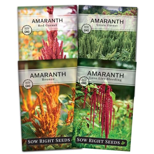 Sow Right Seeds - Amaranth Seed Collection for Planting - Non-GMO Heirloom Varieties to Grow an Outdoor Home Garden - Red & Green Garnet Bronze Love Lies Bleeding - Striking Cut Flowers