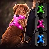 Flashseen LED Dog Harness, Lighted Up USB Rechargeable Pet Harness, Illuminated Reflective Glowing Dog Vest Adjustable Soft Padded No-Pull Suit for Small, Medium, Large Dogs (Pink, M)