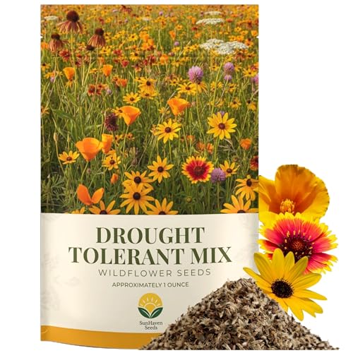 SunHaven Seeds Drought Tolerant Wildflower Mix 20 000+ Seeds 1 oz Bulk Extra Large Resealable Packet Non-GMO Flower Seeds for Dry Climates Black-Eyed Susan Coreopsis California Poppy & More