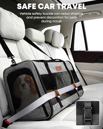 Large Cat Dog Carrier for Pet Up to 20 Lb - 20×13×13 in, Top & Side Entry, Foldable, Soft-Sided Pet Carrier with Ventilated Anti-Scratch Mesh & Car Seat Buckle for Car, Travel and Vet – Grey - Image 4