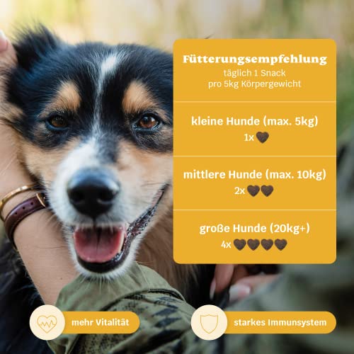 14-in-1 Immunsystem Leckerli für Hunde - Immu Push 30 Snacks (110g) von mammaly - Stärkt Abwehrkräfte mit Hagebutte, Granatapfel, Ashwagandha, Bierhefe, Zink - Reich an Antioxidantien, Vitamin A, C, K