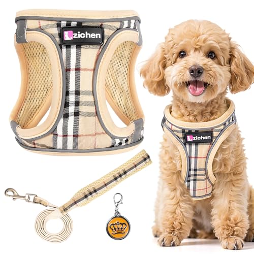 Imbracatura per cani di piccola taglia con guinzaglio, pettorina regolabile per cuccioli, catarifrangente, traspirante, per passeggiate, allenamento, attività all'aperto