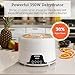 COSORI Food Dehydrator Machine for Jerky, 5 Trays with 165°F Temperature Control and 48H Timer, 350W Dryer for Fruit, Herbs, Meat, Veggies and Dog Treats, 50-Recipes Book Included