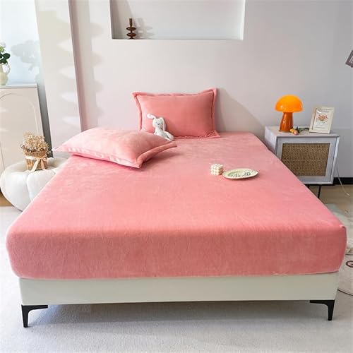 Yashe Haowu ~p{bNXV[c _u Pi n~Ntl _uʂӂӂg xۉ n Yh~SS RۖhL ÓdCh~ 􂦂 }bgXJo[