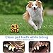 Amzeeniu Hundespielzeug,16 Pcs Seil Ball Hunde robuste Zähne Kauen langlebig Spielzeug Zahntraining Set Für Kleine mittelgroßen Hund Interaktives Spielset Unzerstoerbar BaumwollknotenTau Tier
