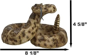 51Ma3zvr3HL._AC_UF350,