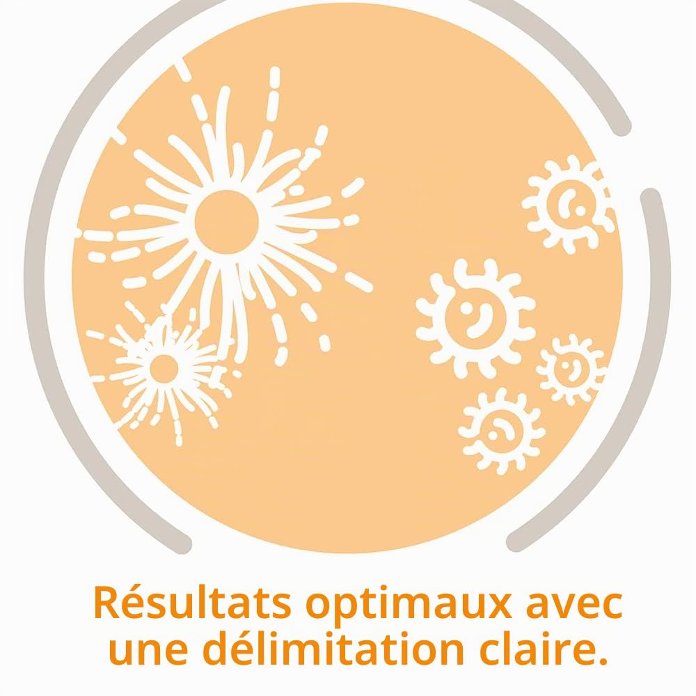 C3 10421 Lot de 20 terres nutritives champignons agar après Kimmig