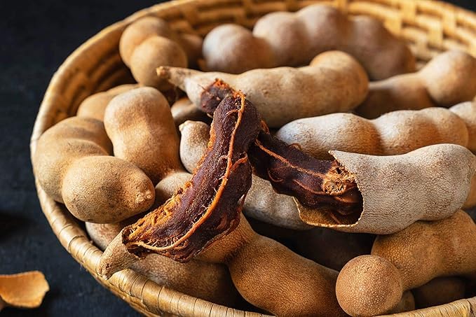 Image of Live Sweet Tamarind /Imli /gunni Hybrid Fruit Plant & Tree ? Outdoor Gardening Pack of 1 ? Healthy Grafted Sapling for Home Garden & Farm ? Fast Growing, High Yield Variety