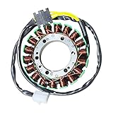 Modelli adatti: Per Yama&ha XV535 XV400 XV500 Virago 535 XVS400 XVS400C XVS650 V STAR XV XVS 400 500 650 Generatore Statore Bobina