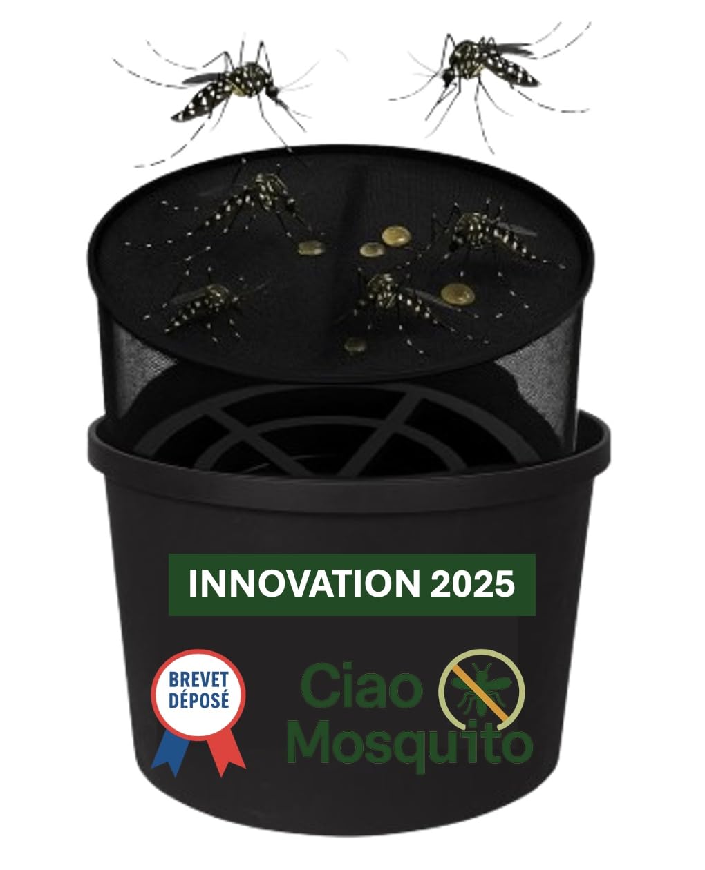 Ciao Mosquito® X1 – Pièges Moustique Tigre & Larves Pour Intérieur | A