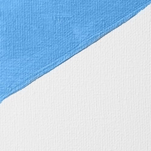 Image of Liquitex Professional White Gesso Surface Prep Medium, 16-oz