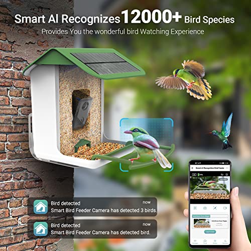 Voion Smart Bird Feeder With Camera Wireless Outdoor Camera Bird Feeders For Outside Solar Bird Watching Camera 1080P Hd,Bird Videos & App Notify, Ip65 Waterproof, Ai Identify Bird Species,64G Tf Card #TOP3