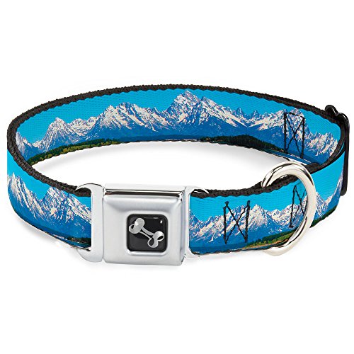 Buckle-Down Dog Collar Seatbelt Buckle Landscape Snowy Mountains 15 to 26 Inches 1.0 Inch Wide