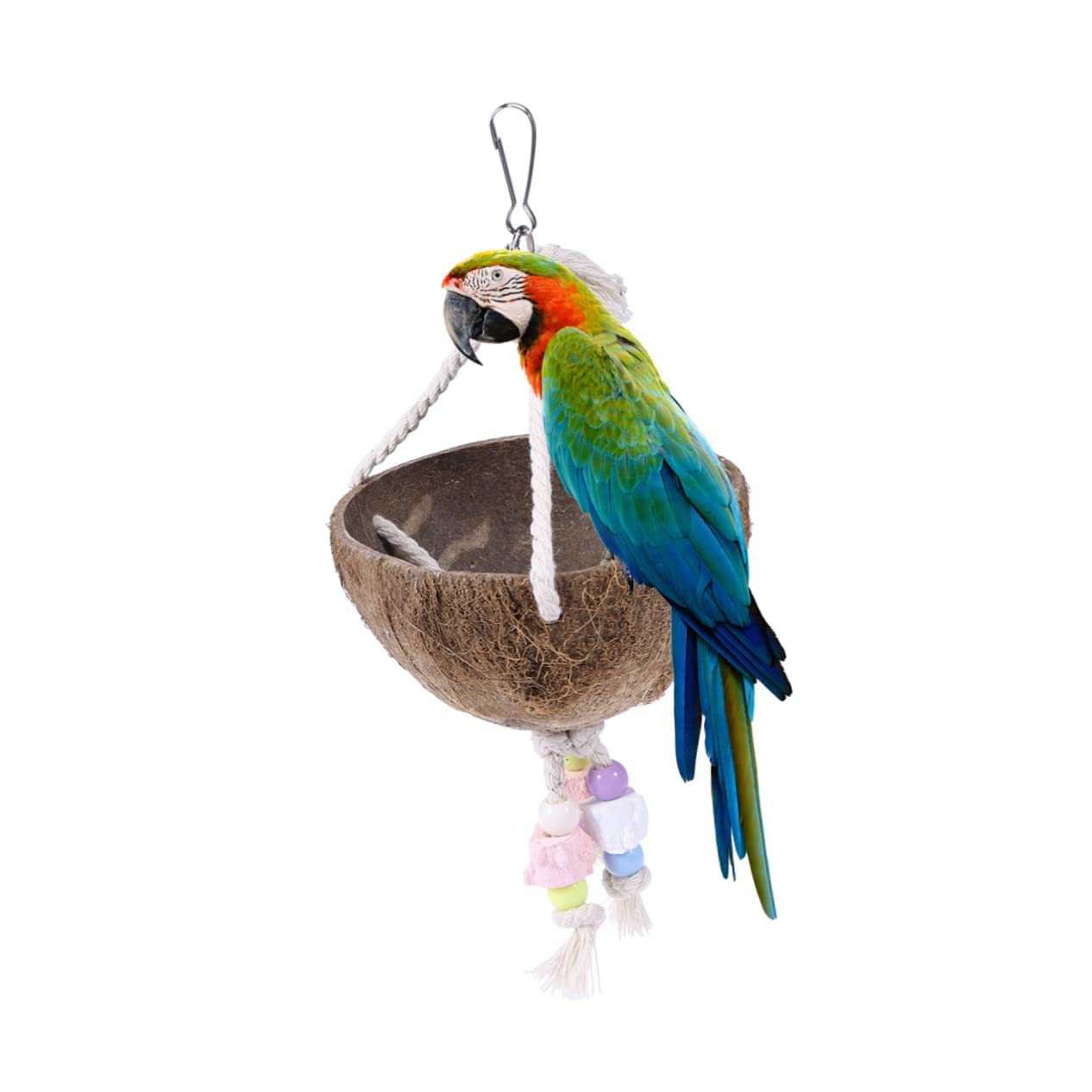 BESPORTBLE 3 Pièces balançoire Perroquet Porte-os de seiche la balançoire Jouer Petit Jouets balançoires nid de Perroquet Jouet en Bois Longue Fournitures pour Oiseaux Bambou