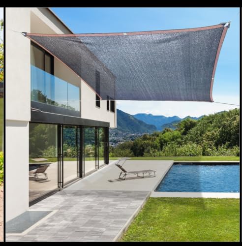 Riisoyu 2x3m Toldo Vela Rectangular, UV 80% Tasa de sombreado Toldos Exterior Terraza Malla de Malla Protección Rayos Transpirable, Permeable al Agua paraTerraza, Jardín, Balcón, Camping