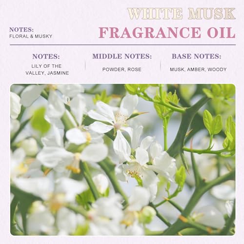 EUQEE 100ML White Musk Fragrance Oil y Patchouli Oil miniatura 4