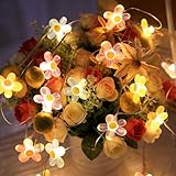 2m 20LED Lichterkette Blumen mit USB, LED Lichterkette Gänseblümchen, LED Micro Lichterkette, lichterketten für außen & innen, für Garten, Terrasse, Balkon, Bäume, Hochzeiten, Party Deko