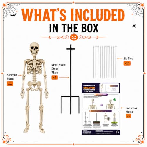 36" Halloween Skeleton with Metal Stand, Poseable Full Body Skeleton Decoration for Outdoor Yard, Garden, Porch, Indoor Haunted House, Movable Joints Human Bones Halloween Party Decor (1 Pack ) - image 8