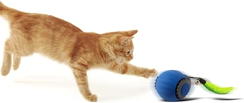 Smart Speedy 3.0 - Pelota interactiva para gatos con evitación automática de obstáculos, juguete para gatitos de interior para estimulación mental y