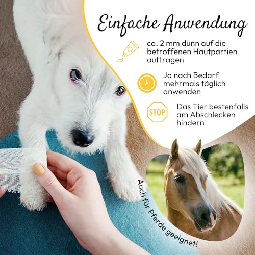 PHA HautRepair Creme für Hunde & Katzen - Pflege und Schutz bei Schürfwunden, Druckstellen mit Vaseline, Zink, Lebertran, Vitaminen, Panthenol, 125 ml