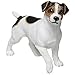 Produktbild Leonardo Collection Jack Russell Terrier Ornament Hund, Stone, weiß