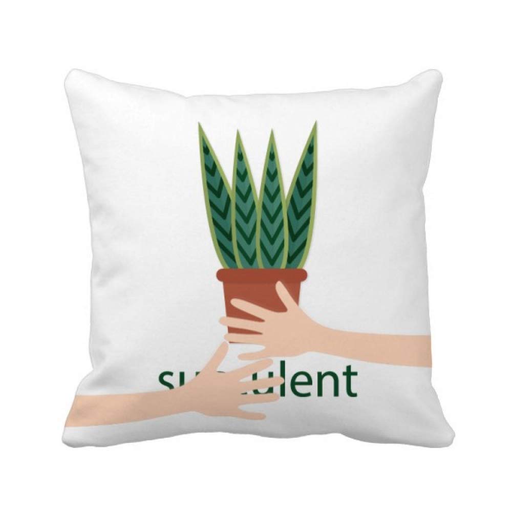 Cactus câlin en coussin de plantes grasses pour une ambiance douce et réconfortante