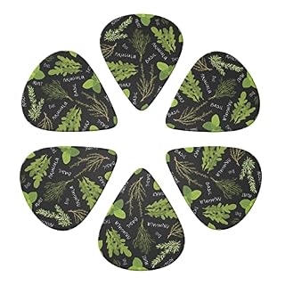 Basil Thym Dill & Rosemary Lot de 6 médiators pour guitare acoustique, guitare électrique, basse, ukulélé – Fin, moyen… - Les Beatles, Paul McCartney, John Lennon, RIngo Starr, George Harrison Basil Thym Dill & Rosemary Lot de 6 médiators pour guitare acoustique, guitare électrique, basse, ukulélé – Fin, moyen… – Image 4