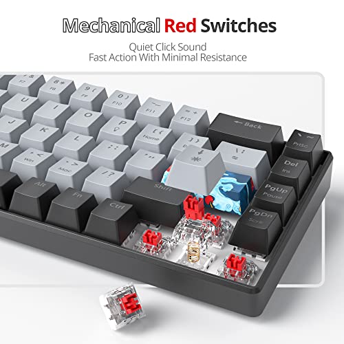 Image of Protable 60% Percent Gaming Keyboard Mechanical, Mini Compact RGB Backlit 68 Keys Wired Office Keyboard with Red Switch for Mac /Win (Dolch /red Switch 68)
