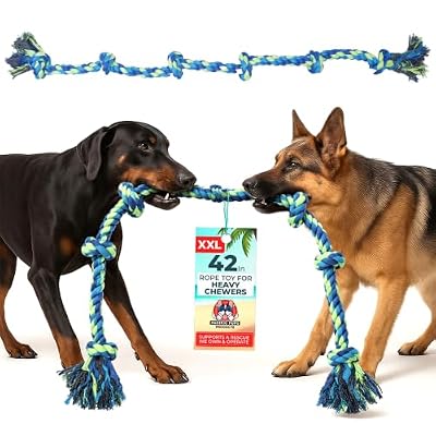 Pacific Pups Products Giant Dog Tug of War Rope Toy, 42 inch, 6 Knots, Neon