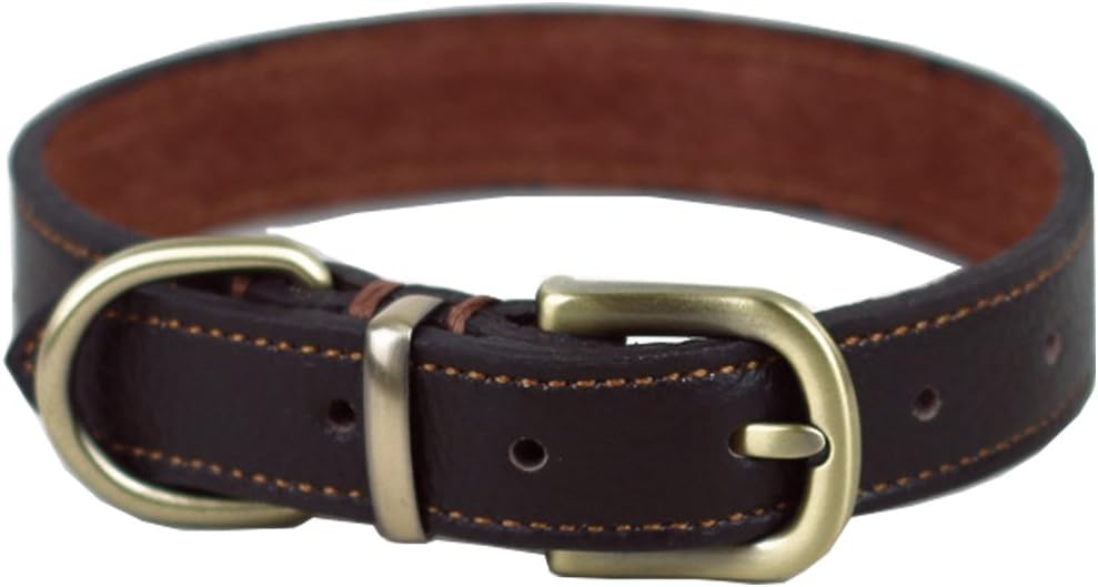 Tellpet Real Leather Collar for Medium Dogs, Brown, Medium/Large