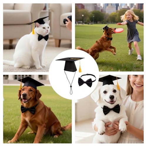 Set 2 Gorros y Toga Graduación para Perro miniatura 7