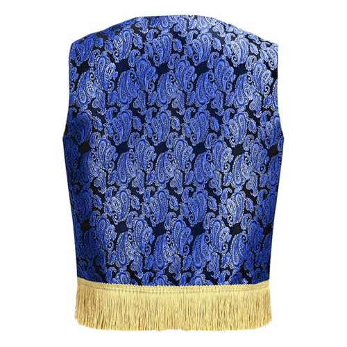 Sxiwei Boys Kids Arab Prince Vest Waistcoat Jacquard Coat for Roleplay Adventures Halloween Dressing Up2