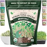 Seedboy Organic Non-GMO Broccoli Seeds for Sprouting - USA Grown Microgreens Sprouting Seeds - 8 oz Bag Makes 8 Quarts / 32 Servings (Broccoli)