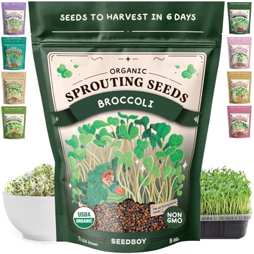 Seedboy Organic Non-GMO Broccoli Seeds for Sprouting - USA Grown Microgreens Sprouting Seeds - 8 oz Bag Makes 8 Quarts / 32 Servings (Broccoli)