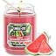 Juicy Watermelon Slice (NEW)